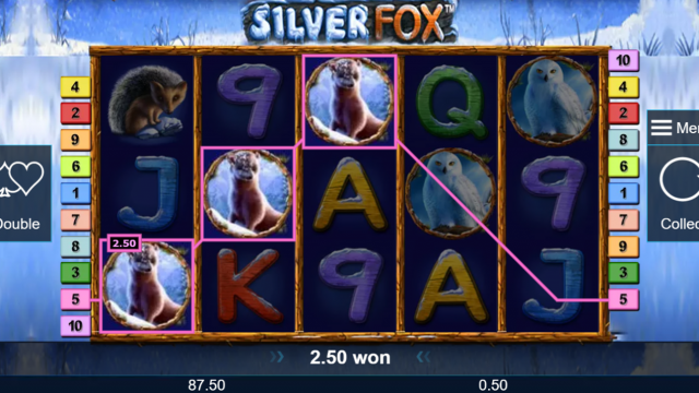 Silver Fox 8